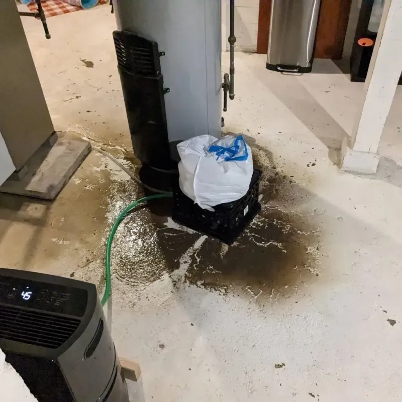 Sewage Backup Cleanup Service in Ripley County, MO